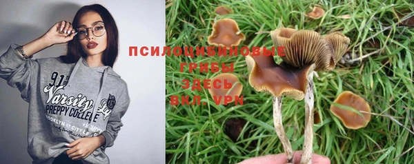 MESCALINE Богородицк