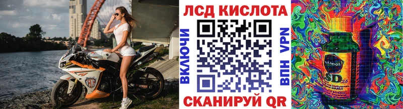 где продают   Очёр  Марки N-bome 1,8мг 