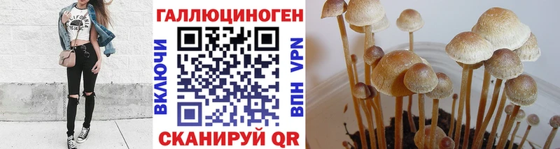 Галлюциногенные грибы Psilocybe  наркота  Очёр 
